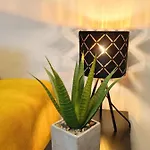 Keleia Nova Vas Design